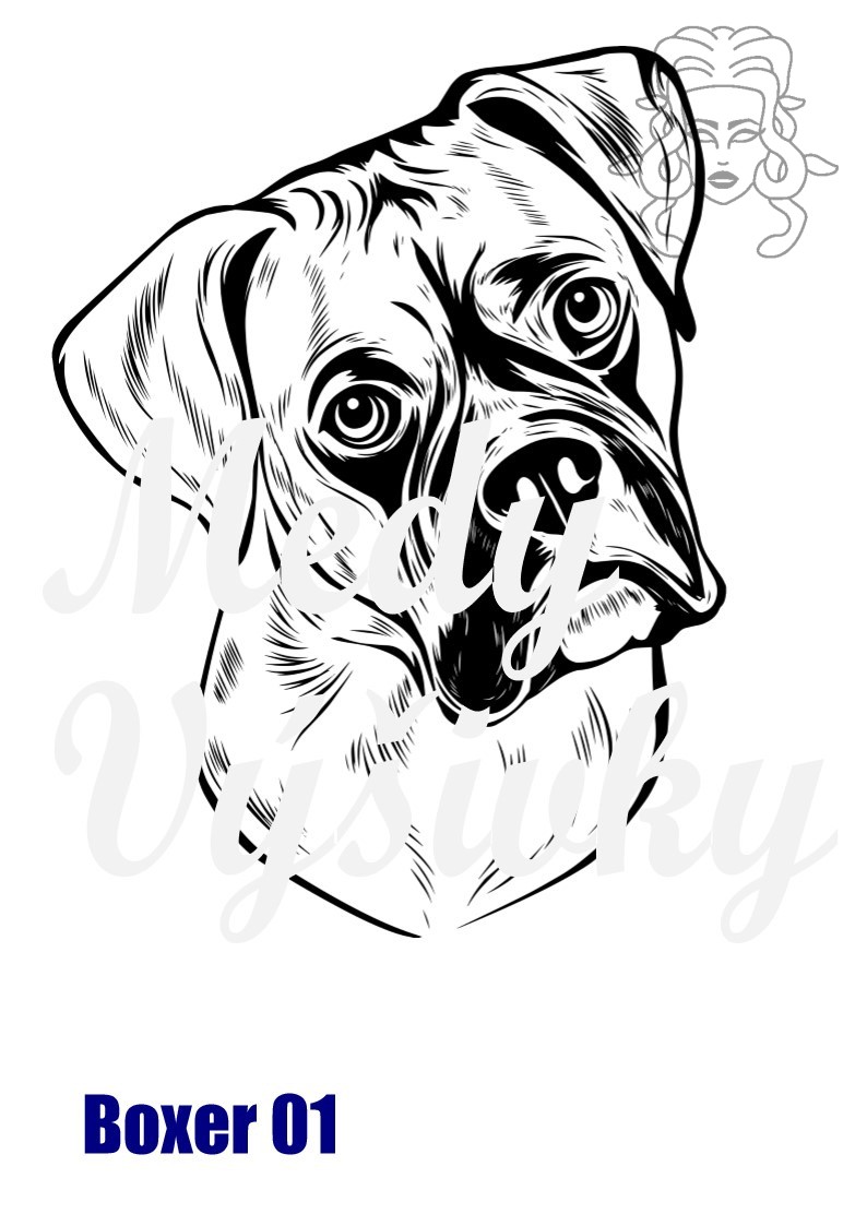 Boxer 01