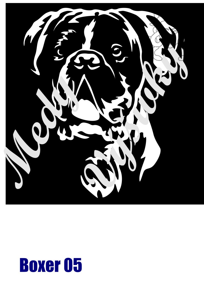 Boxer 5