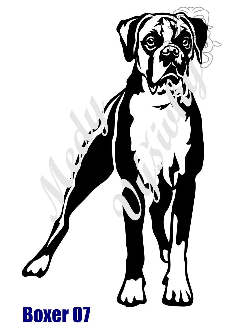 Boxer 7