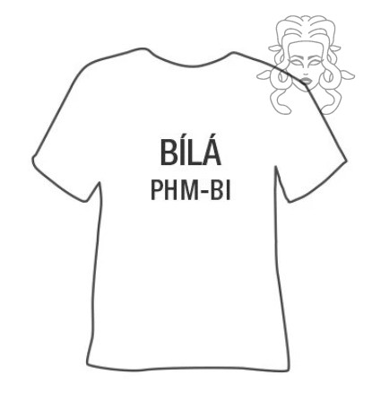 MATNÉ nažehlovací folie - bílá