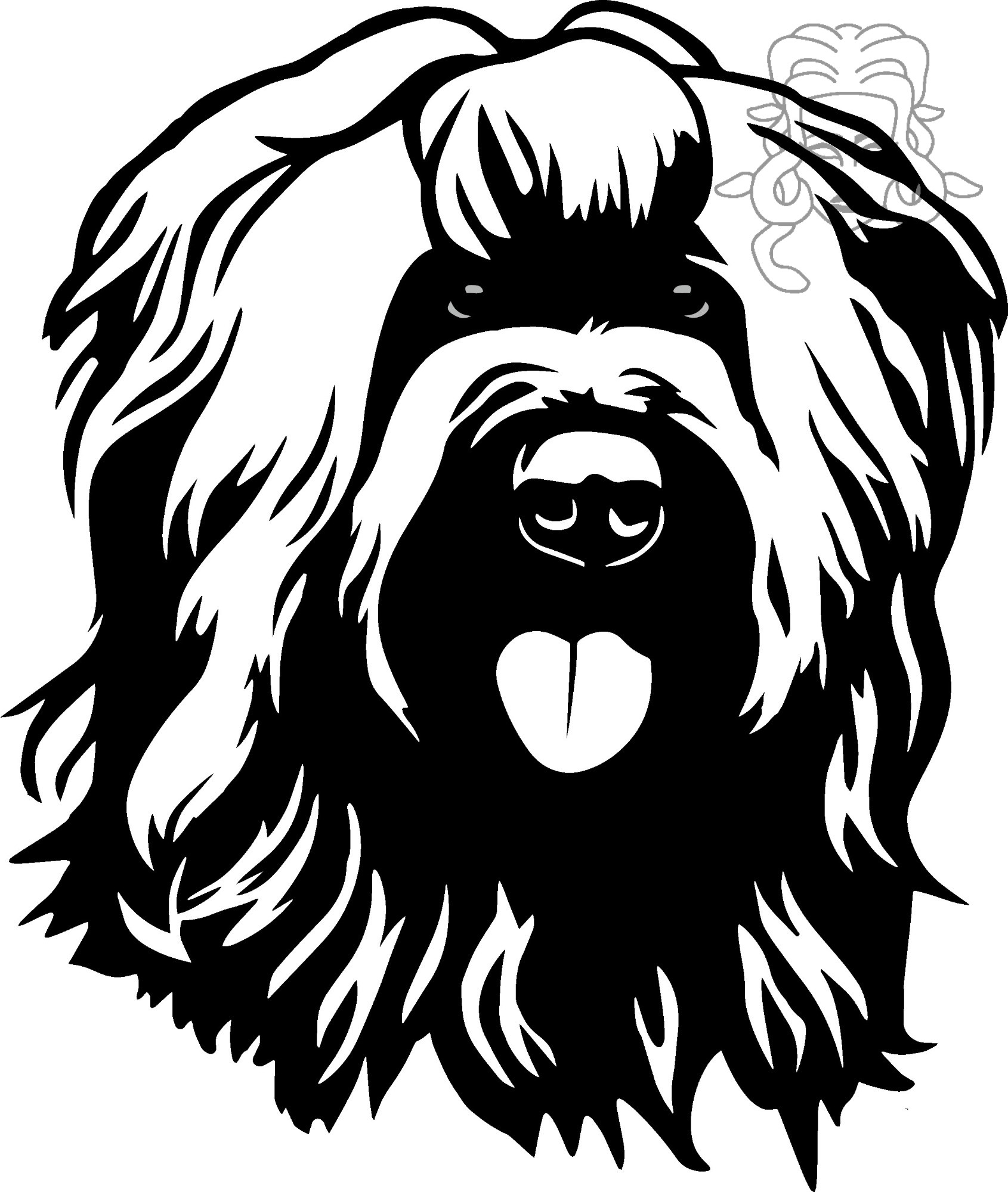 briard