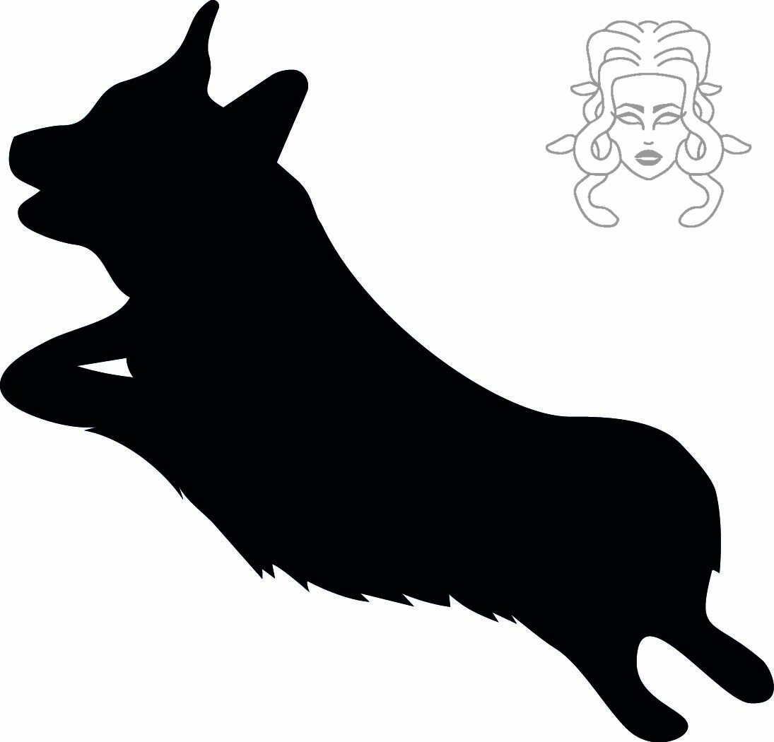 corgi